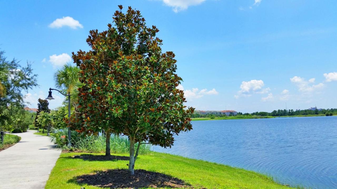 Stunning Top-Floor Condo, Next To Clubhouse Orlando Exteriör bild